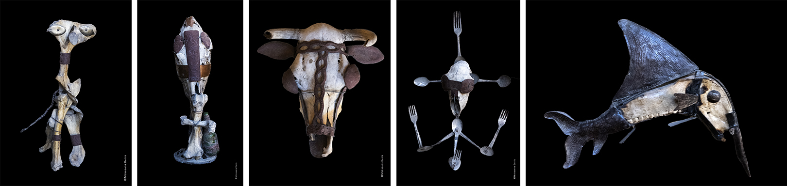 © Maksaens © Maksaens